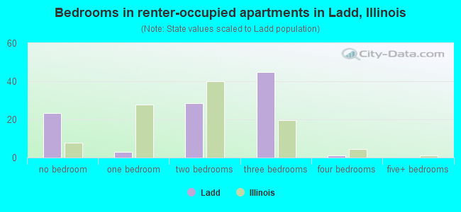 Bedrooms in renter-occupied apartments in Ladd, Illinois