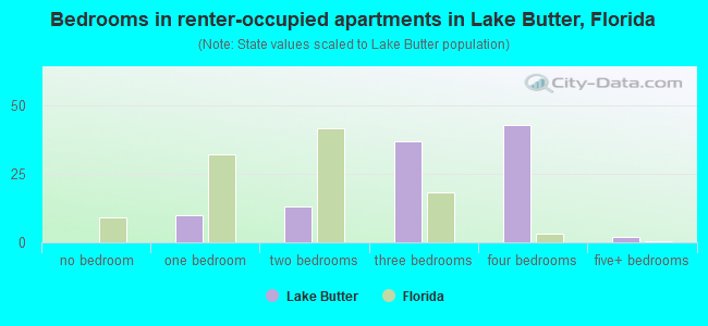Bedrooms in renter-occupied apartments in Lake Butter, Florida