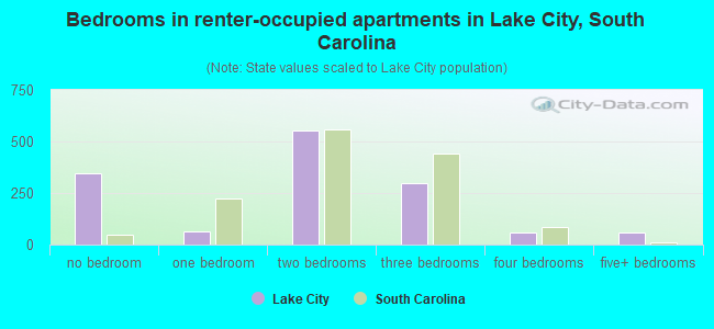 Bedrooms in renter-occupied apartments in Lake City, South Carolina