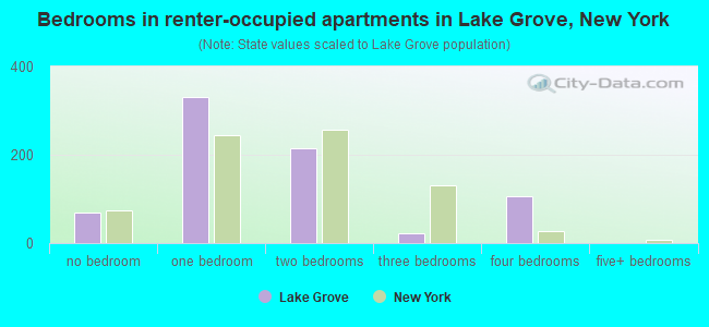 Bedrooms in renter-occupied apartments in Lake Grove, New York