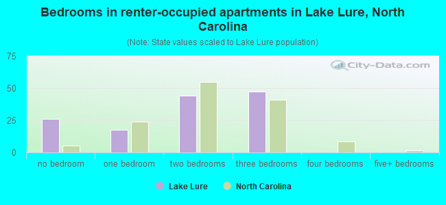 Bedrooms in renter-occupied apartments in Lake Lure, North Carolina