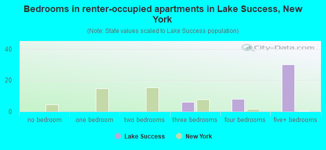 Bedrooms in renter-occupied apartments in Lake Success, New York