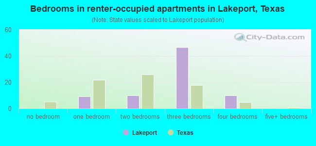 Bedrooms in renter-occupied apartments in Lakeport, Texas