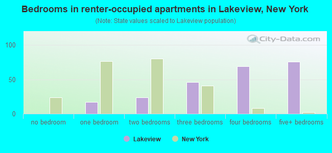 Bedrooms in renter-occupied apartments in Lakeview, New York