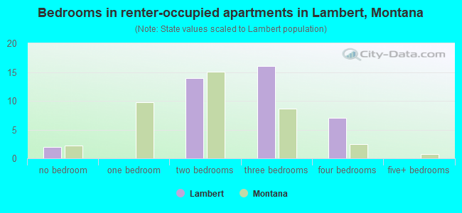 Bedrooms in renter-occupied apartments in Lambert, Montana