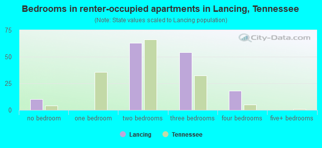 Bedrooms in renter-occupied apartments in Lancing, Tennessee