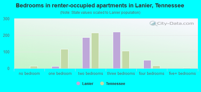 Bedrooms in renter-occupied apartments in Lanier, Tennessee