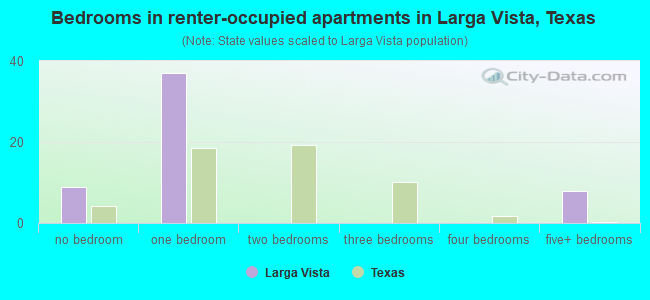 Bedrooms in renter-occupied apartments in Larga Vista, Texas