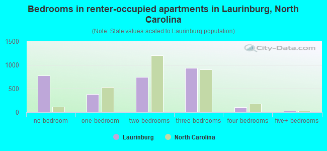 Bedrooms in renter-occupied apartments in Laurinburg, North Carolina