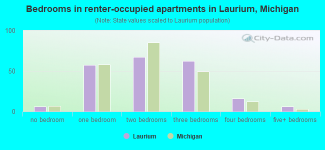 Bedrooms in renter-occupied apartments in Laurium, Michigan