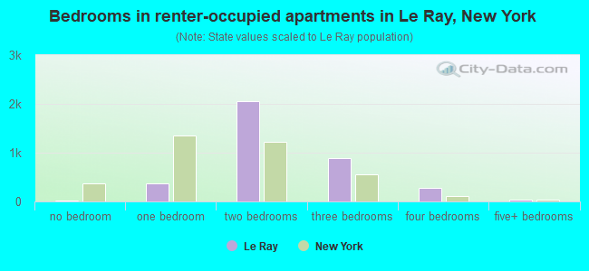 Bedrooms in renter-occupied apartments in Le Ray, New York