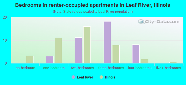 Bedrooms in renter-occupied apartments in Leaf River, Illinois
