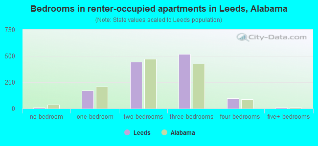Bedrooms in renter-occupied apartments in Leeds, Alabama