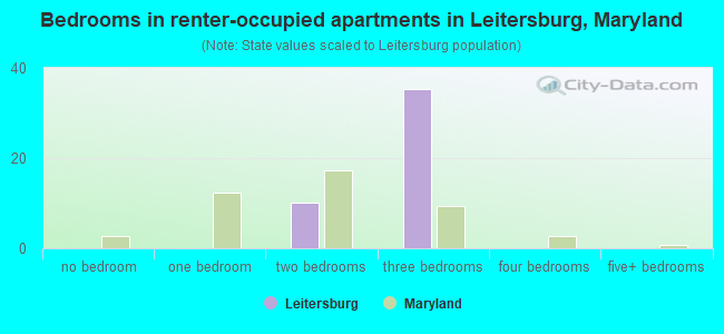 Bedrooms in renter-occupied apartments in Leitersburg, Maryland