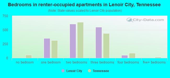 Bedrooms in renter-occupied apartments in Lenoir City, Tennessee
