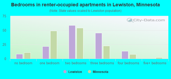 Bedrooms in renter-occupied apartments in Lewiston, Minnesota