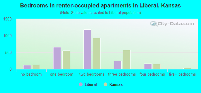 Bedrooms in renter-occupied apartments in Liberal, Kansas