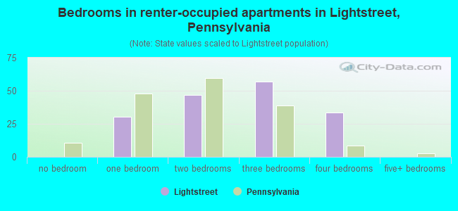 Bedrooms in renter-occupied apartments in Lightstreet, Pennsylvania