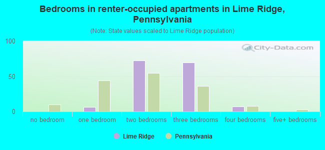 Bedrooms in renter-occupied apartments in Lime Ridge, Pennsylvania