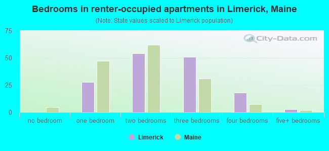 Bedrooms in renter-occupied apartments in Limerick, Maine