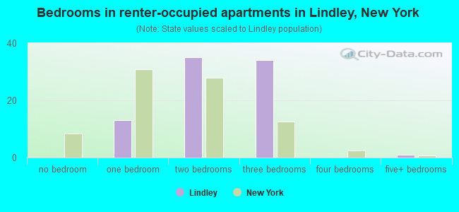 Bedrooms in renter-occupied apartments in Lindley, New York