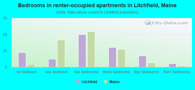 Bedrooms in renter-occupied apartments in Litchfield, Maine