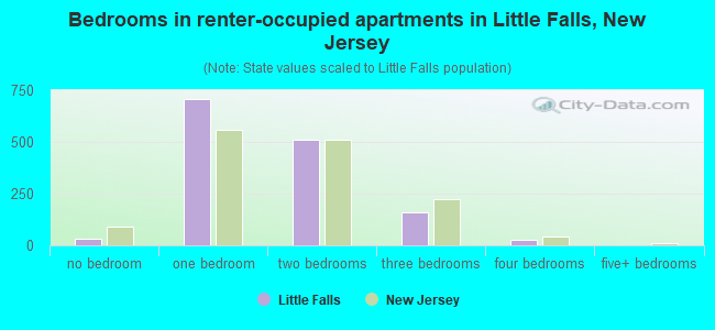 Bedrooms in renter-occupied apartments in Little Falls, New Jersey
