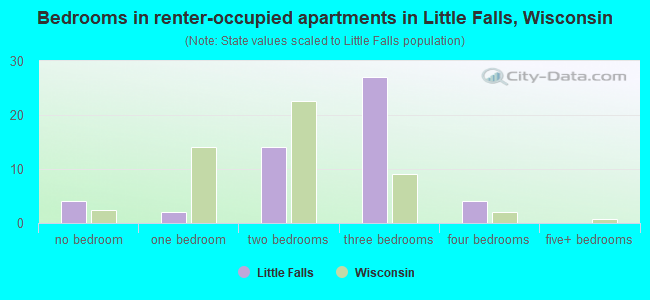 Bedrooms in renter-occupied apartments in Little Falls, Wisconsin