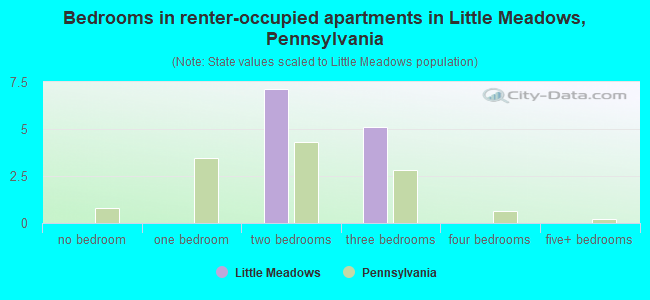 Bedrooms in renter-occupied apartments in Little Meadows, Pennsylvania