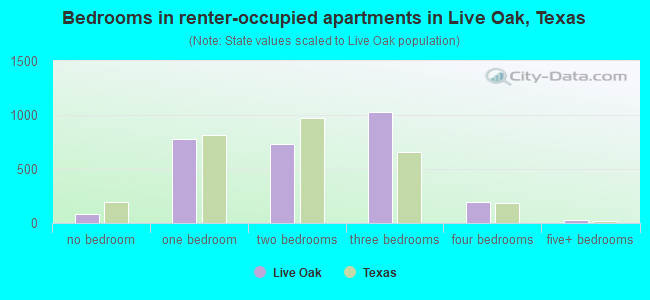 Bedrooms in renter-occupied apartments in Live Oak, Texas