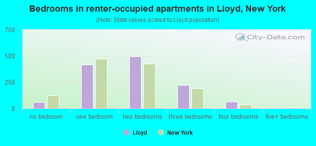 Bedrooms in renter-occupied apartments in Lloyd, New York