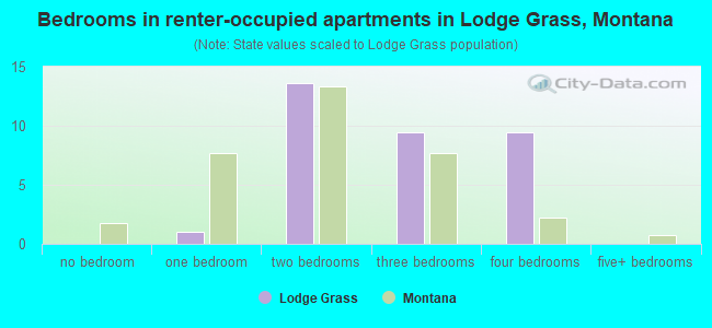 Bedrooms in renter-occupied apartments in Lodge Grass, Montana