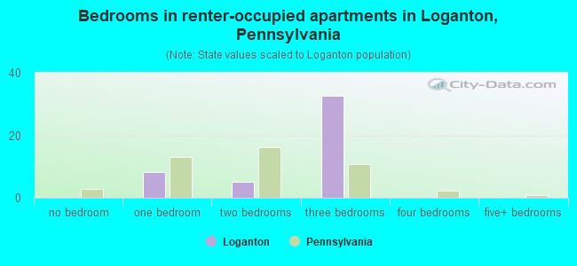 Bedrooms in renter-occupied apartments in Loganton, Pennsylvania