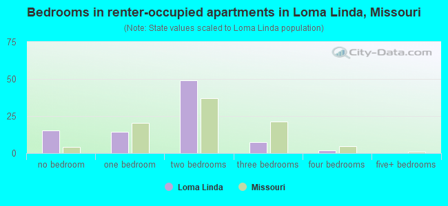 Bedrooms in renter-occupied apartments in Loma Linda, Missouri