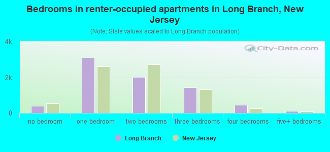 Bedrooms in renter-occupied apartments in Long Branch, New Jersey