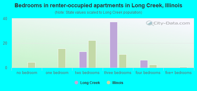 Bedrooms in renter-occupied apartments in Long Creek, Illinois