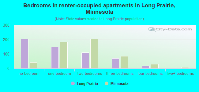 Bedrooms in renter-occupied apartments in Long Prairie, Minnesota