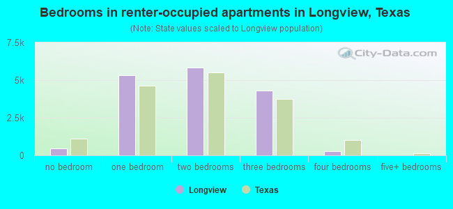 Bedrooms in renter-occupied apartments in Longview, Texas