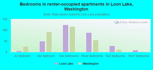 Bedrooms in renter-occupied apartments in Loon Lake, Washington