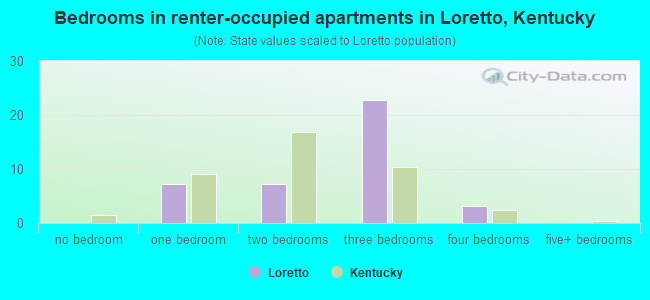 Bedrooms in renter-occupied apartments in Loretto, Kentucky