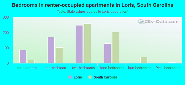 Bedrooms in renter-occupied apartments in Loris, South Carolina