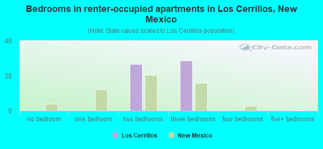 Bedrooms in renter-occupied apartments in Los Cerrillos, New Mexico