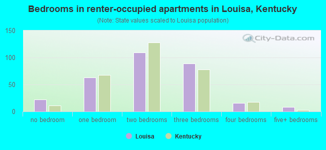 Bedrooms in renter-occupied apartments in Louisa, Kentucky