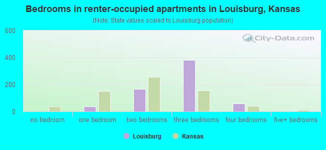 Bedrooms in renter-occupied apartments in Louisburg, Kansas