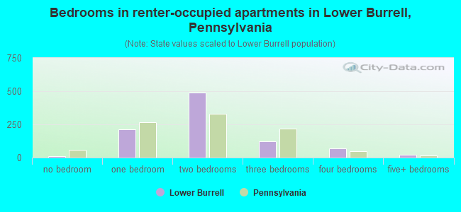 Bedrooms in renter-occupied apartments in Lower Burrell, Pennsylvania