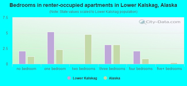 Bedrooms in renter-occupied apartments in Lower Kalskag, Alaska