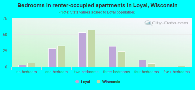 Bedrooms in renter-occupied apartments in Loyal, Wisconsin