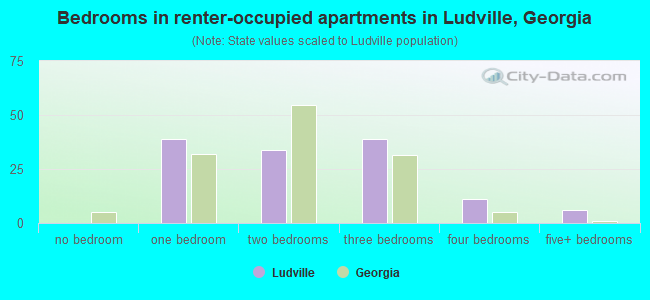 Bedrooms in renter-occupied apartments in Ludville, Georgia