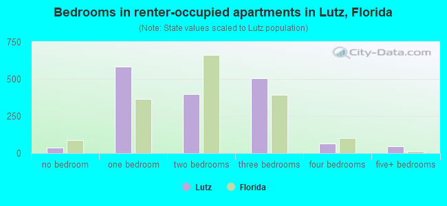 Bedrooms in renter-occupied apartments in Lutz, Florida