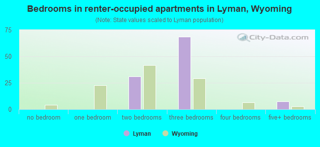 Bedrooms in renter-occupied apartments in Lyman, Wyoming